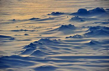 Houle de glace, Antarctica. © Etienne Pierart.