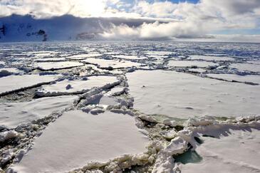Antarctica © Etienne Pierart.