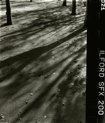 Parc Jourdan, Aix-en-Provence © Etienne Pierart